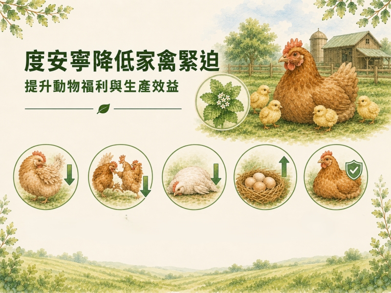 度安寧降低家禽緊迫，提升動物福利與生產效益